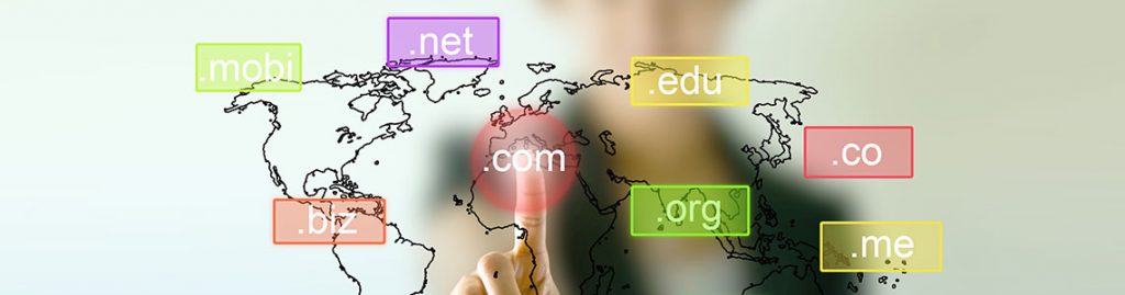 Domain Name TLD